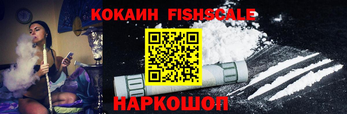 Cocaine Fish Scale  Вход с VPN  Фролово 