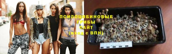 метадон Липки