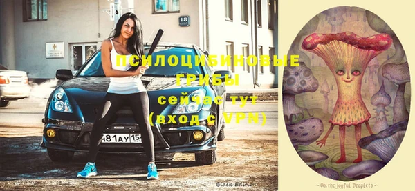 метадон Липки