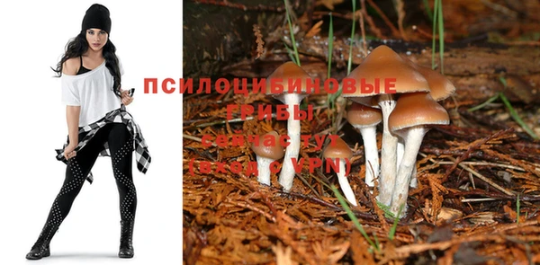метадон Липки
