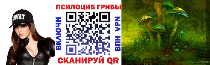 как найти закладки  мега ONION  Псилоцибиновые грибы прущие грибы  Фролово 