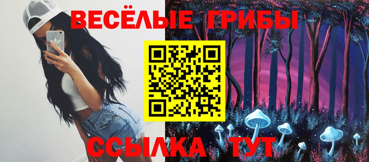 Галлюциногенные грибы GOLDEN TEACHER Фролово