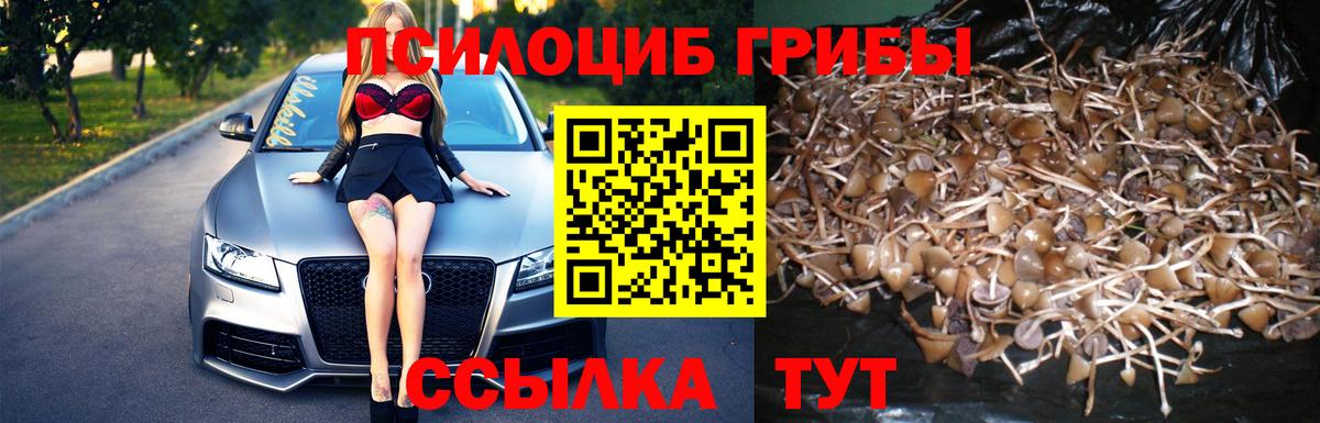 Псилоцибиновые грибы ЛСД  Псилоцибиновые грибы прущие грибы  Вход с VPN  Фролово 